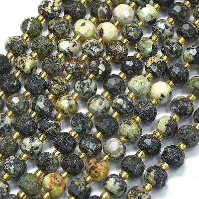 Natural African Turquoise(Jasper) Beads Strands G-K389-E71-01-1