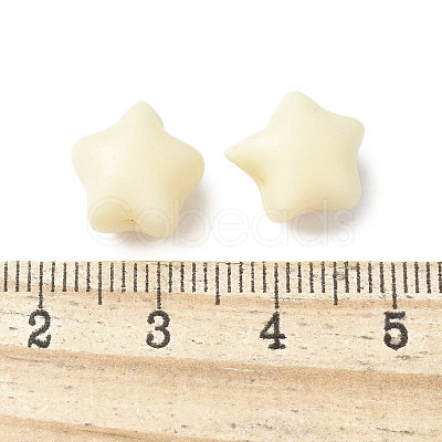 Natural Tagua Beads Jewelry Findings WOOD-V001-03-1