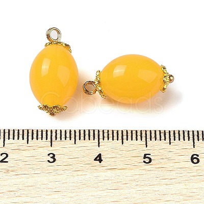 Acrylic Pendants MACR-C033-13C-1