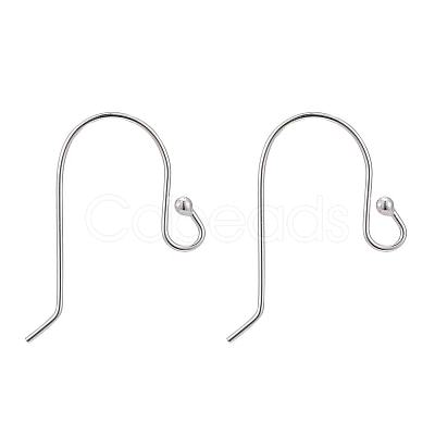 925 Sterling Silver Earring Hooks STER-G011-12-1