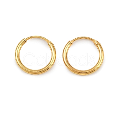 925 Sterling Silver Hoop Earrings STER-B008-01A-G-1