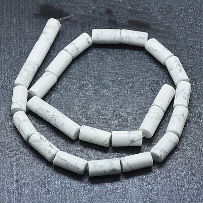 Natural Howlite Beads Strands G-F631-F03-1