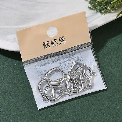 SHEGRACE Brass Hoop Earrings Findings XGR0157P-87P-1