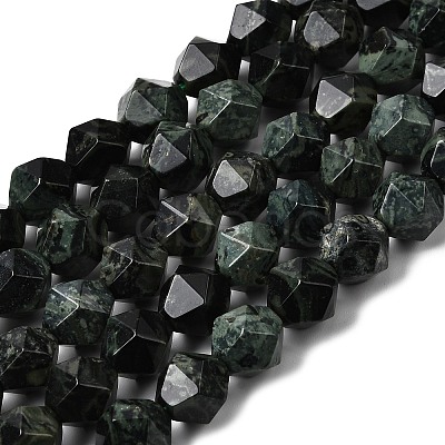 Natural Kambaba Jasper Beads Strands G-Z119-A20-03-1