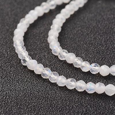 Natural Rainbow Moonstone Bead Strand G-G680-53-1