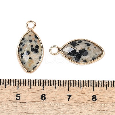 Natural Dalmatian Jasper Faceted Pendants G-G193-01G-01-1