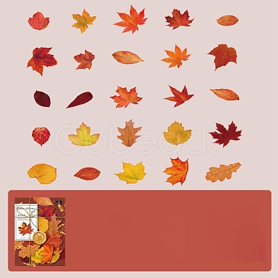 50Pcs Maple Leaf Theme Paper Stickers STIC-P017-C01-1
