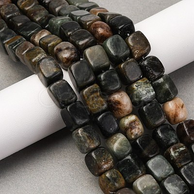 Natural Biotite Beads Strands G-B155-D05-1