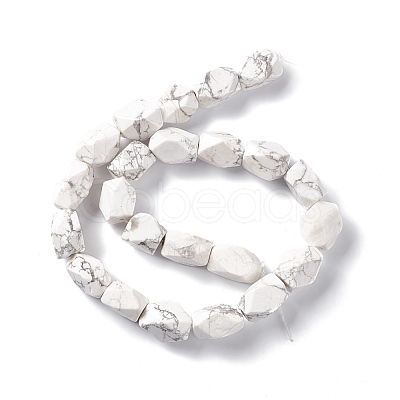 Natural Howlite Beads Strands G-L235A-14-1