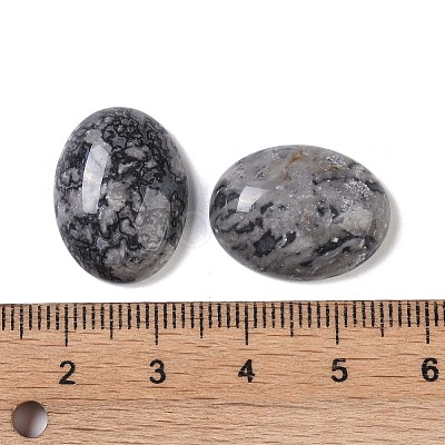 Natural Map Stone Cabochons G-B080-01A-09-1
