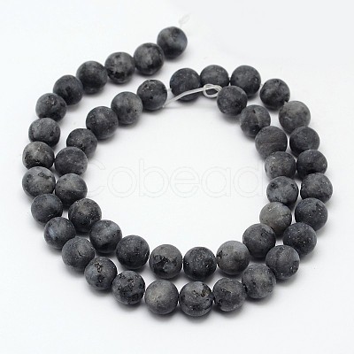 Natural Larvikite Beads Strands X-G-D692-6mm-1