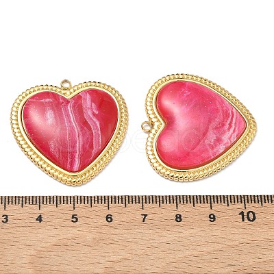 304 Stainless Steel Resin Pendants STAS-C174-19G-05-1