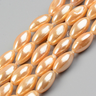 Electroplate Natural Freshwater Shell Beads Strands SHEL-T017-13B-1