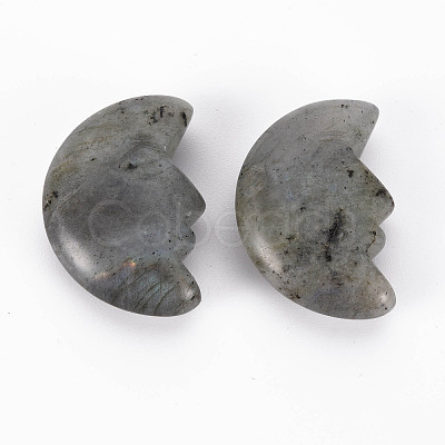 Natural Labradorite Beads G-T132-030-1