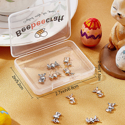 Beebeecraft 10Pcs 2 Colors Brass Pave Clear Cubic Zirconia Charms KK-BBC0003-80-1