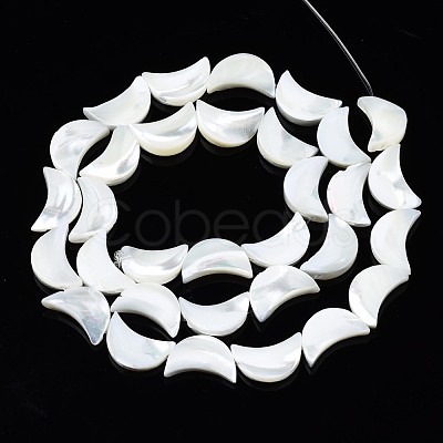 Natural Trochid Shell/Trochus Shell Beads Strands SSHEL-N034-97B-B01-1
