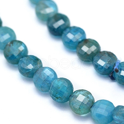 Natural Apatite Beads Strands G-E530-07AK-1