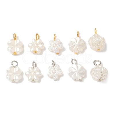 10Pcs 2 Colors Plastic Pearl Charms PALLOY-JF04027-1