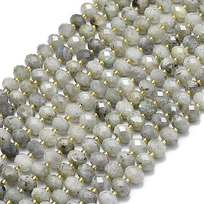 Natural Labradorite Beads Strands G-P573-A55-01-1