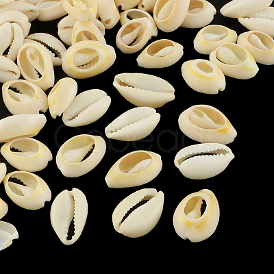 Natural Mixed Cowrie Shell Beads X-BSHE-S052-01-1