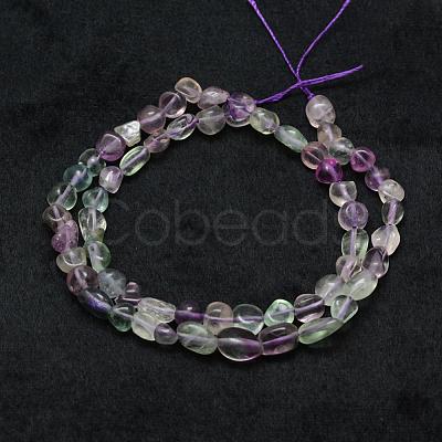 Natural Fluorite Beads Strands G-F521-48-1