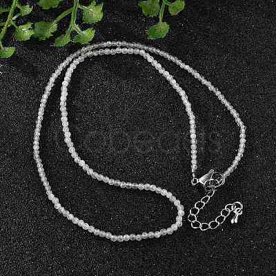 Natural Labradorite Beaded Necklaces NJEW-JN02492-07-1