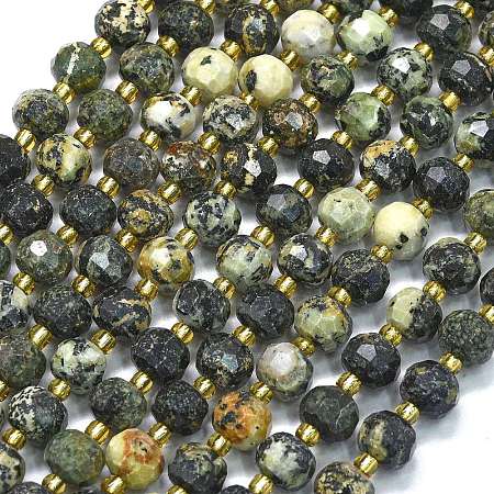 Natural African Turquoise(Jasper) Beads Strands G-K389-E71-01-1