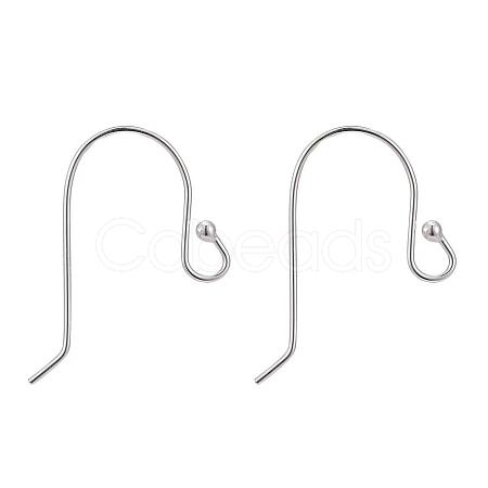 925 Sterling Silver Earring Hooks STER-G011-12-1