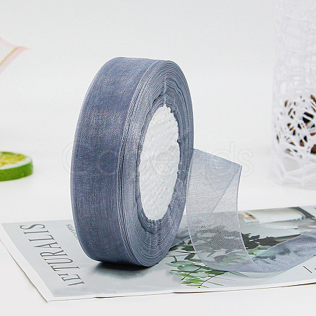 Polyester Organza Ribbon FABR-PW0001-003A-17-1