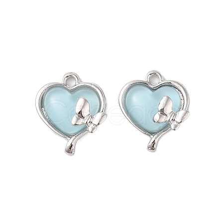 Alloy & Resin Pendants FIND-Z053-04B-04-1
