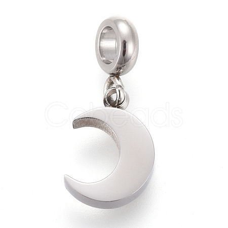 Non-Tarnish 304 Stainless Steel Charms STAS-F259-014P-1