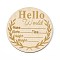 Wooden Hello World Baby Photo Props, Birth Announcement Plaques, Wooden Growth Milestone Signs, Flat Round, 9.9x0.3cm