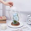 Glass Cloche Dome Covers AJEW-WH0460-033B-4