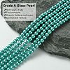 Grade A Glass Pearl Beads LS-HY-J001-4mm-HX052-3