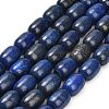 Natural Lapis Lazuli Beads Strands G-H319-A01-02-2