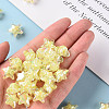 Transparent Acrylic Beads TACR-S152-11B-07-5