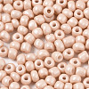 6/0 Glass Seed Beads SEED-S058-A-F209-3