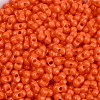 Baking Paint Glass Seed Beads X1-SEED-K010-A10-2