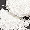 8/0 Glass Seed Beads SEED-J014-F8-41-1