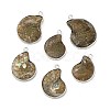 Natural Conch Fossil Pendants BSHE-E025-02P-1
