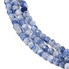 Natural Blue Spot Jasper Beads Strands G-A252-A02-01-4