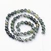 Natural Moss Agate Beads Strands GSR6mmC001-3