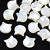 Natural White Shell Beads SSHEL-S258-99B-1