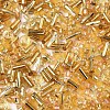FGB Glass Seed Beads SEED-S056-005-3