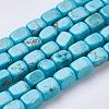 Natural Magnesite Beads Strands TURQ-K003-11C-1