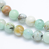 Natural Chrysocolla Beads Strands G-J373-02-8mm-3