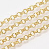 Iron Rolo Chains CH-S125-011D-G-2