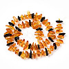 Natural Amber Beads Strands G-T138-237-2