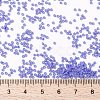 MIYUKI Round Rocailles Beads SEED-G009-RR0417L-4