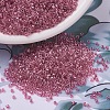 MIYUKI Delica Beads X-SEED-J020-DB0902-1